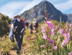 Harmony Clinic - Rehab Cape Town, Drug Rehab and Private Addiction Rehabilitation Hospital Cape Town